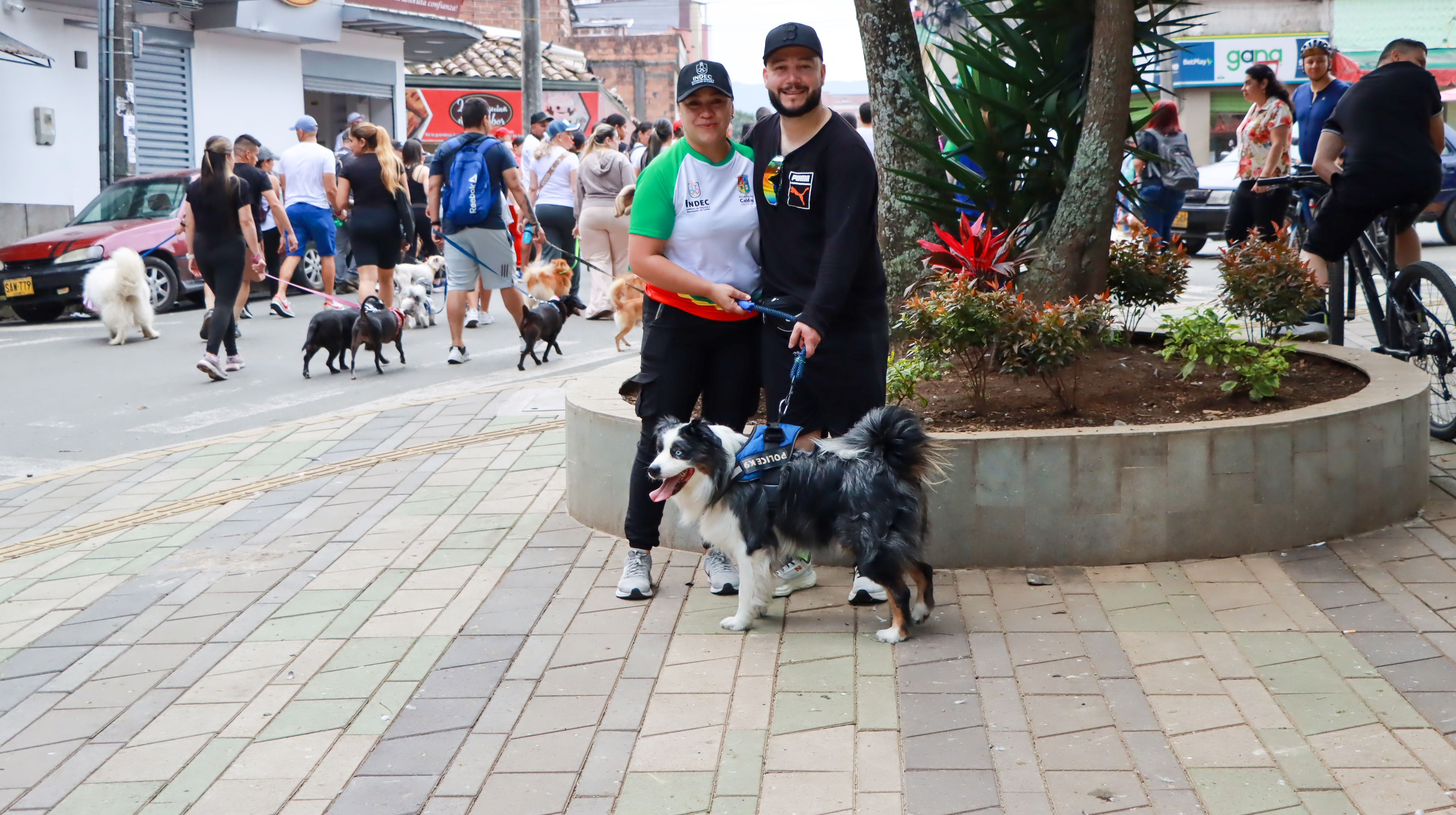 Imagen del álbum Caminata Canina