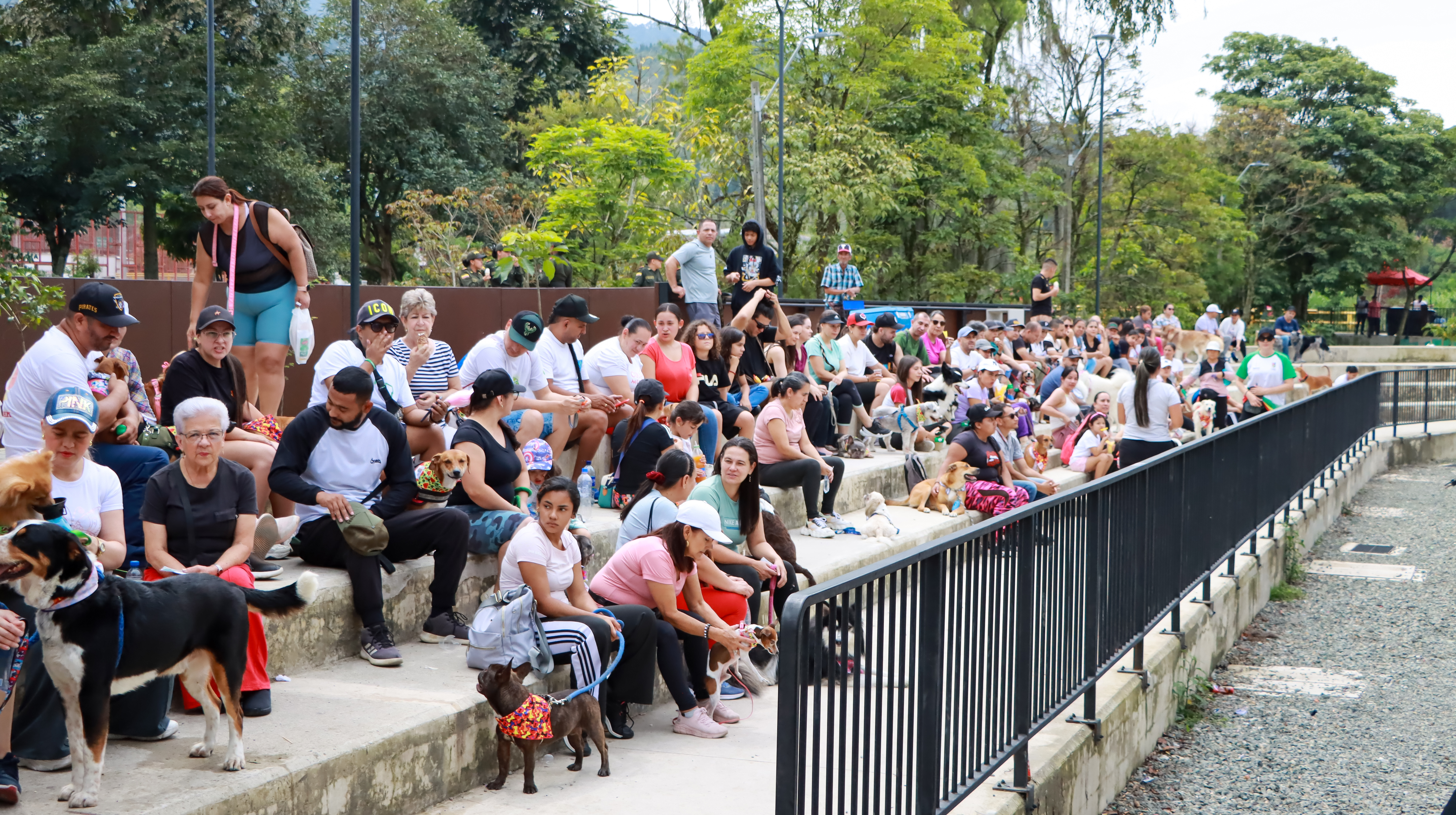Imagen del álbum Caminata Canina