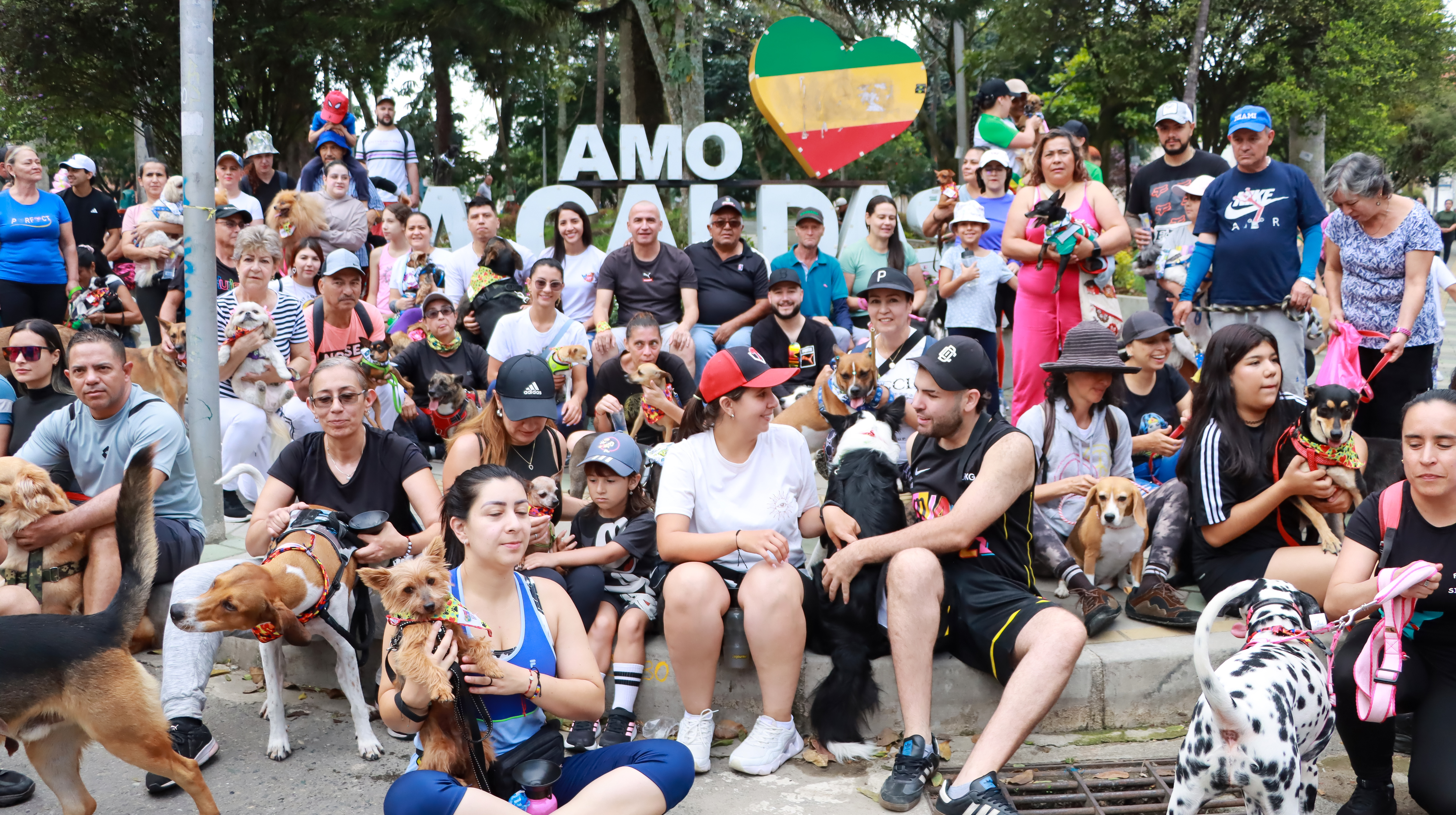 Imagen del álbum Caminata Canina