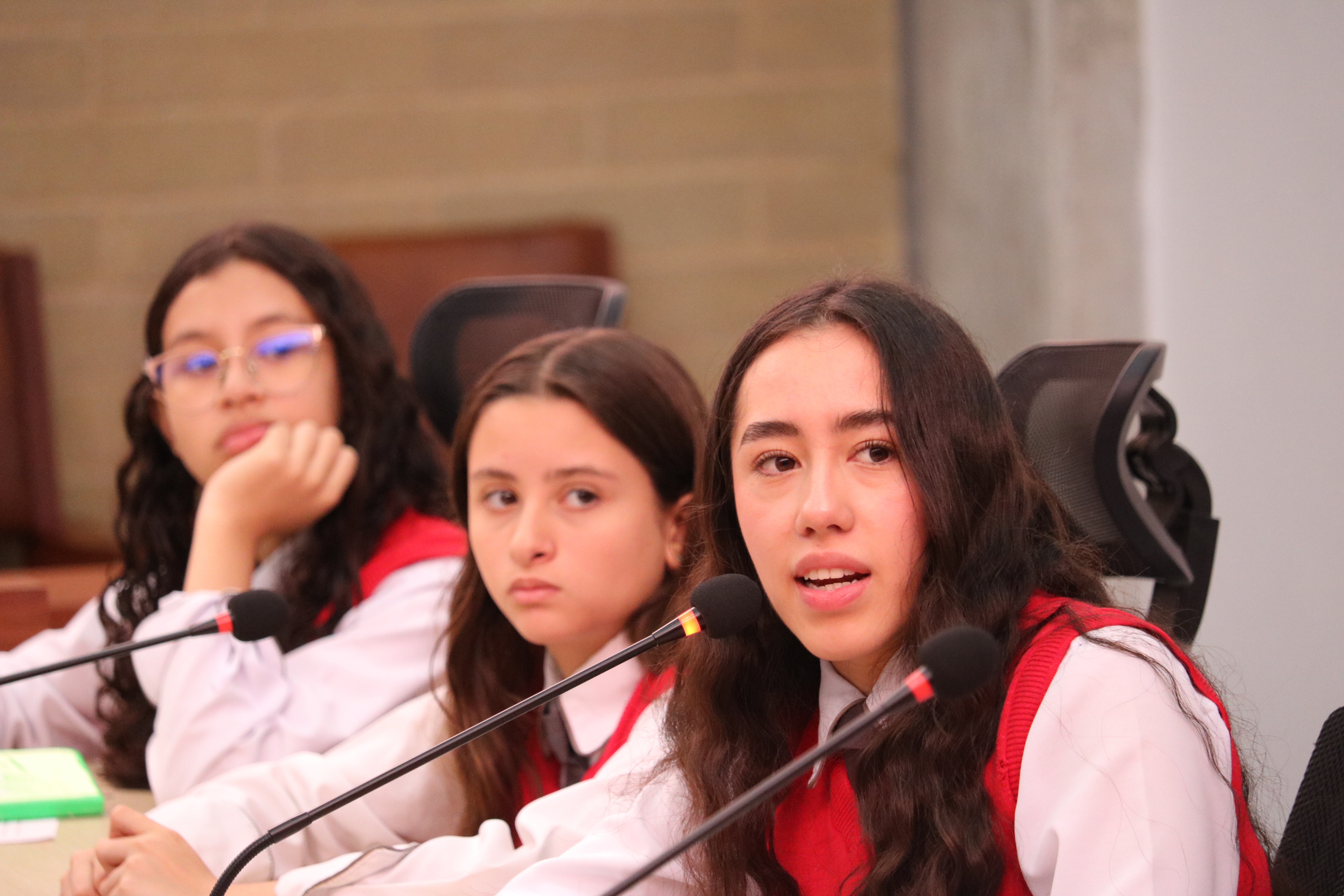 Imagen del álbum Niños, niñas y adolescentes al Concejo